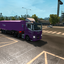 ets2 Man TGX 6x2 + Bodex tr... - prive skin ets2