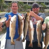 Fishing Charter Tampa - Tampa Fishing Charters, Inc