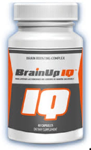 Brainup IQ-2 Brainup IQ