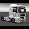 ets2 MAN TGA 4x2 Selman Tra... - prive skin ets2