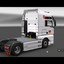 ets2 MAN TGA 4x2 Selman Tra... - prive skin ets2