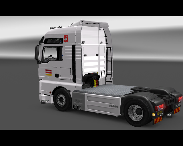 ets2 MAN TGA 4x2 Selman Transport Huissen Holland  prive skin ets2