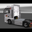 ets2 MAN TGA 4x2 Selman Tra... - prive skin ets2