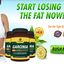 GarciniaPure-Banner -  Garcinia Pure Lean Xtreme Is Well Known And Reputed Formula For weight Loss.