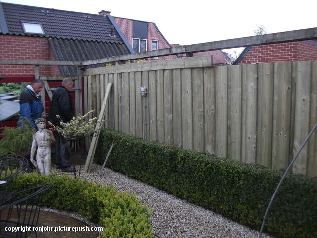 Tuin - Schutting tegen schutting 26-04-16 (27) In de tuin 2016