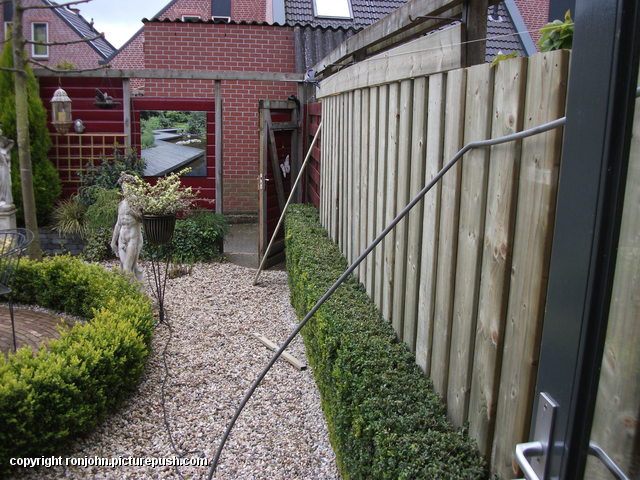 Tuin - Schutting tegen schutting 26-04-16 (26) In de tuin 2016