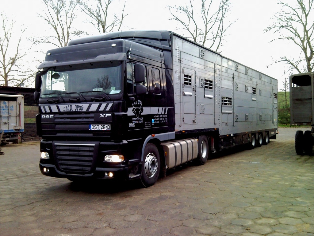 DAF2 - 