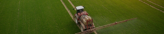 Grain Insurance Picture Box