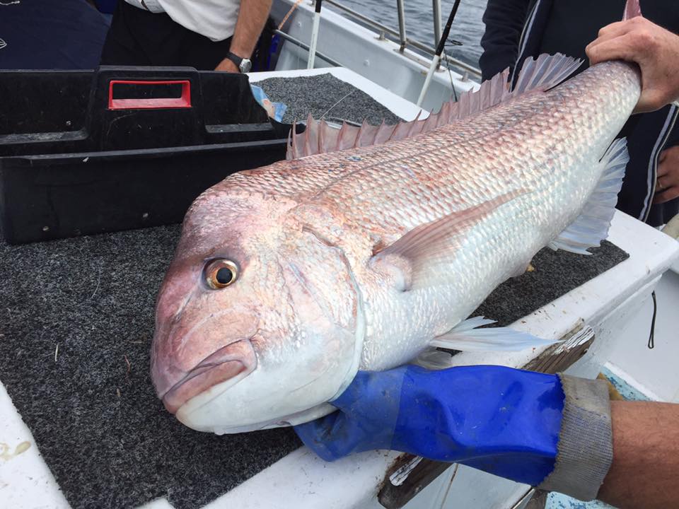 Fishing Charters Perth Fishing Charters Perth