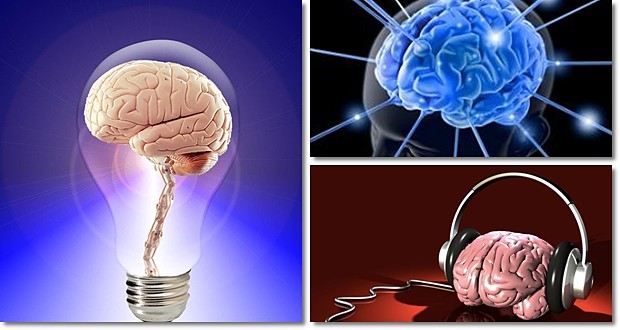 Eight Ways To Enhance Brain Power Picture Box