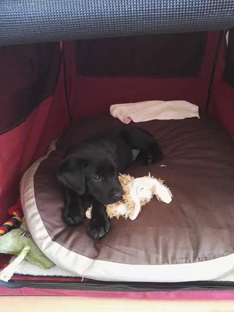 FB IMG 1462557359839 Picture Box