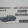 IMG 3173 (Kopie) - 250MM PF 53 MG Modelplus
