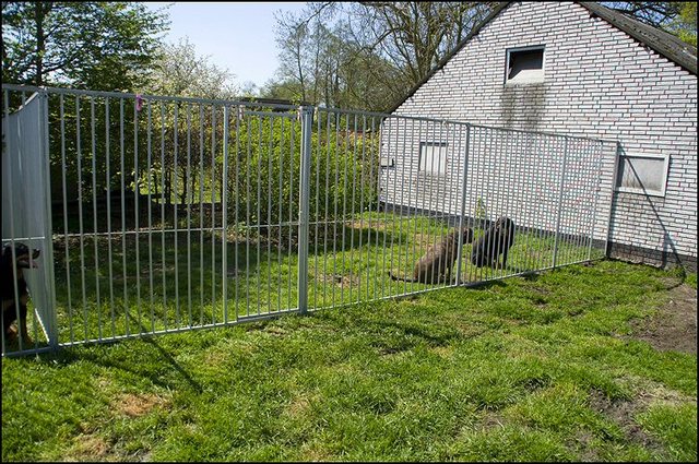 5 kennels buiten