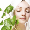 Organic-Natural-Skin-Care-3... -   You will be successful to...