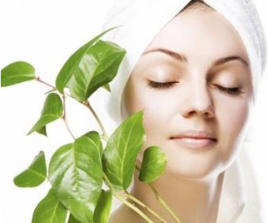 Organic-Natural-Skin-Care-300x250   You will be successful to obtain the following good strategy, 