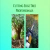 tree service bellefonte - Cutting Edge Tree Professio...