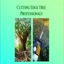 tree service bellefonte - Cutting Edge Tree Professionals