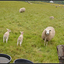 DSC 0664-BorderMaker - 17-05-2016