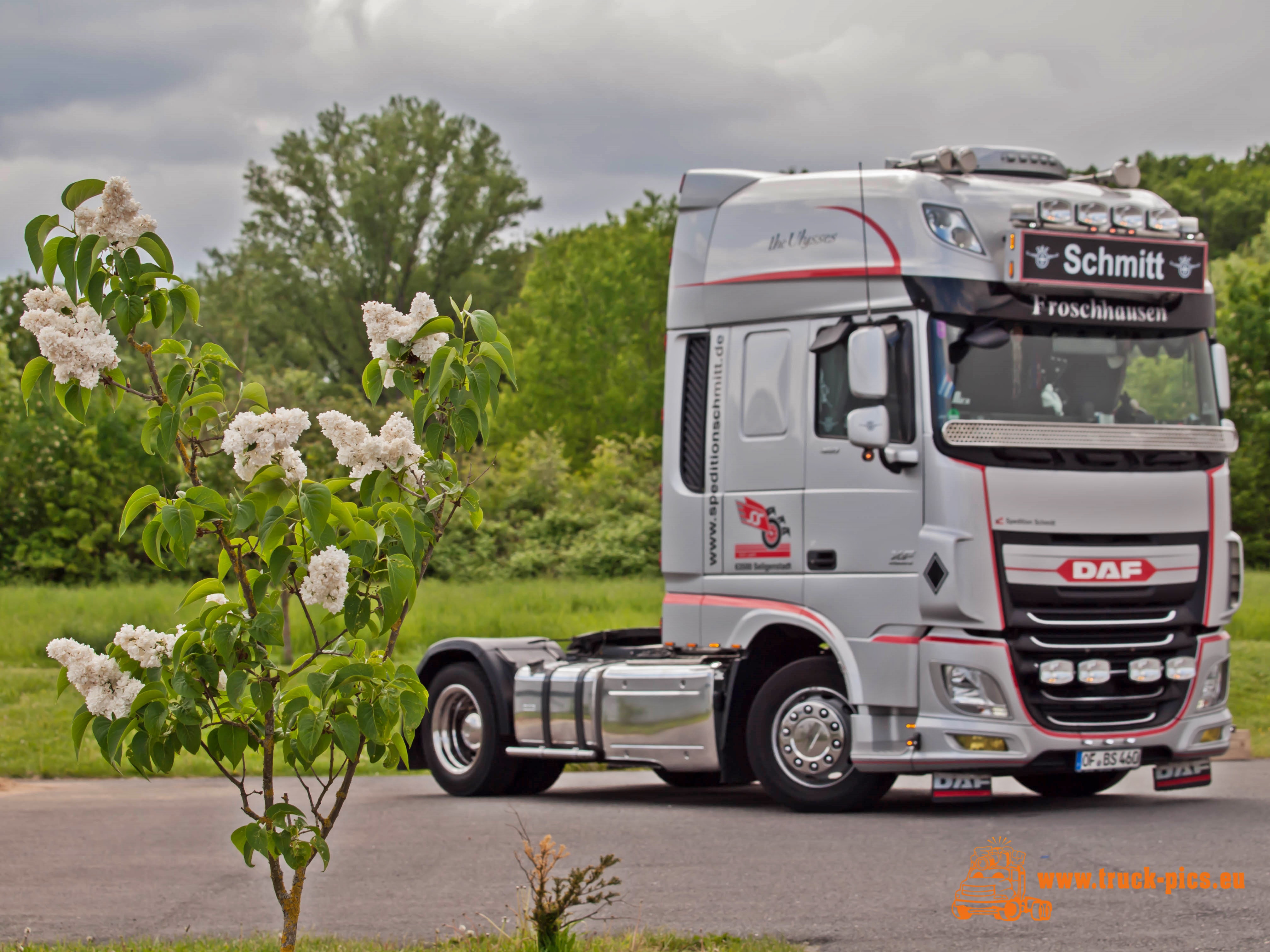 DAF XF Custom