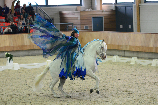 1 Iberische Paard-dag