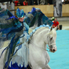 3 - Iberische Paard-dag