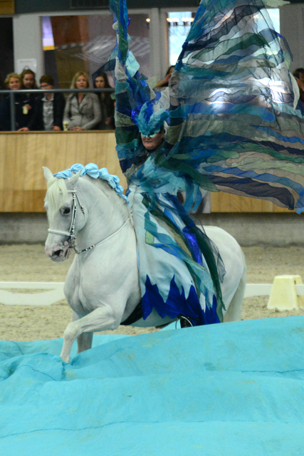 5 Iberische Paard-dag