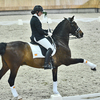 p2 - Iberische Paard-dag