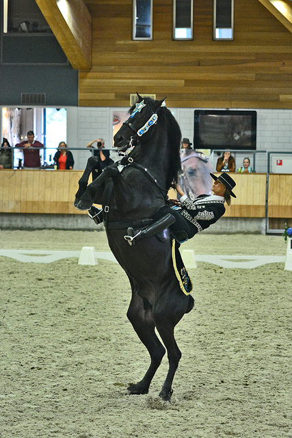 p3 Iberische Paard-dag