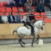 p8 - Iberische Paard-dag