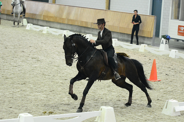 p9 Iberische Paard-dag