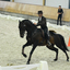 p9 - Iberische Paard-dag