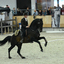p10 - Iberische Paard-dag
