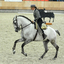 p14 - Iberische Paard-dag