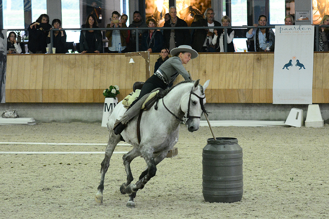 p15 Iberische Paard-dag