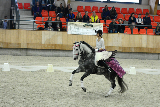 p17 Iberische Paard-dag