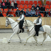 p22 - Iberische Paard-dag