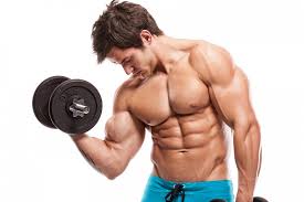 Muscle Science Picture Box