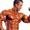 bodybuilding - Picture Box