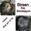 Birsen SaÃ§ SimÃ¼lasyonu - Birsen SaÃ§ SimÃ¼lasyonu