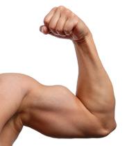 flexing arm Picture Box