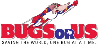 logo Picture Box