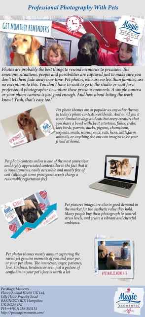 Professional Photography With Pets Picture Box