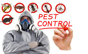 tt Folsom Pest Control