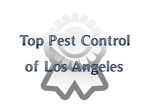 pest-control-Los-Angeles-CA Top Pest Control of Los Angeles