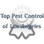 pest-control-Los-Angeles-CA - Top Pest Control of Los Angeles