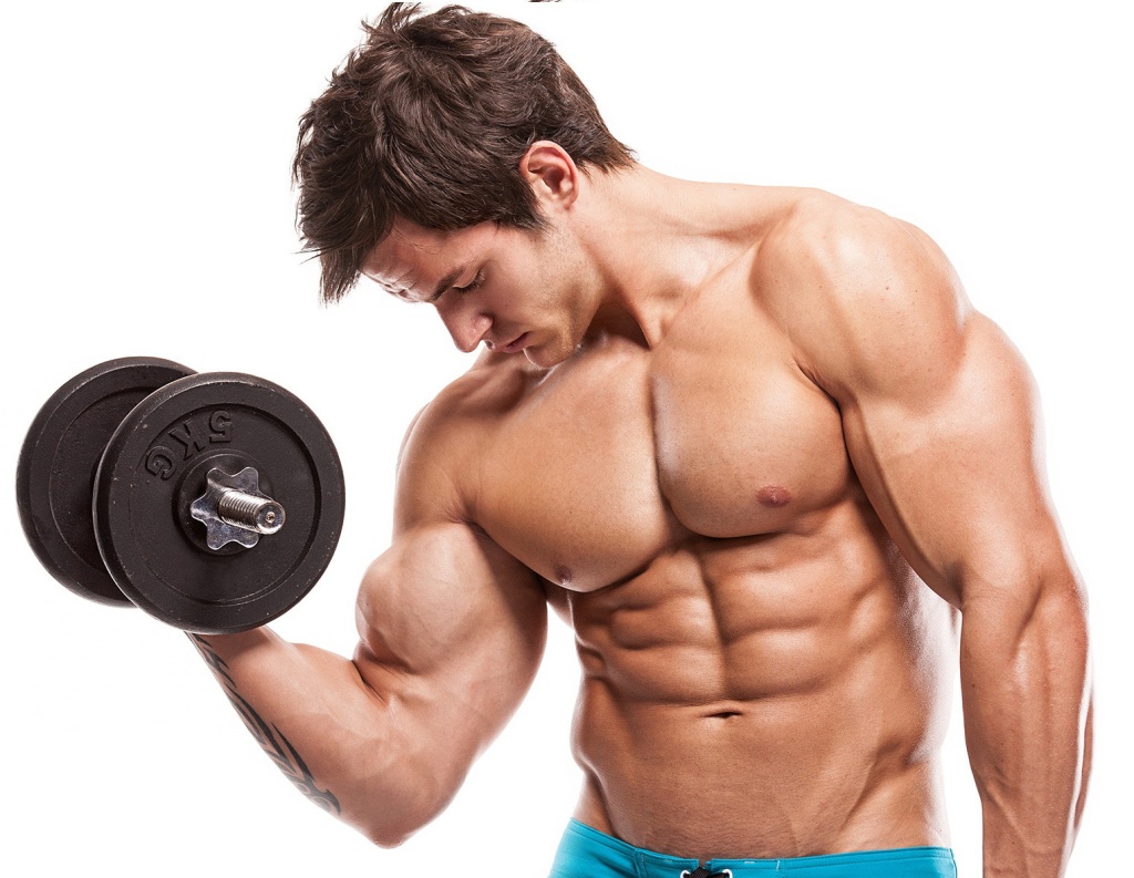 156Muscle Building Picture Box