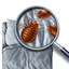 bed-bug-exterminator-Los-An... - A Plus Pest Control of Los Angeles