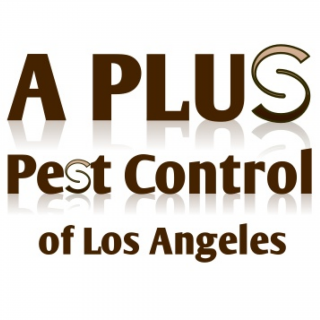 pest-control-Los-Angeles-CA A Plus Pest Control of Los Angeles