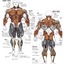 bodybuilding-exercises-for-... - http://rippedrxno2blastcanada.com/alpha-fuel-testo/