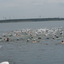 P6190615 - Triatlon Baardmannetje 19-6-2016